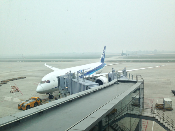 ANA B787画像