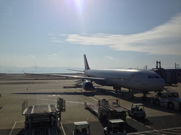 A330-300画像