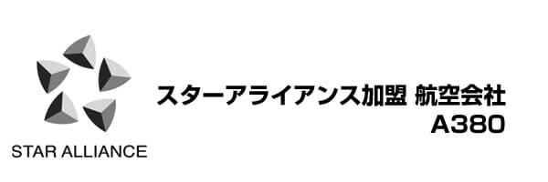 スターアライアンス画像