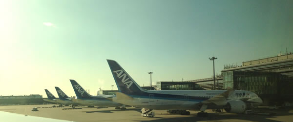 ANA 全日空（NH）画像