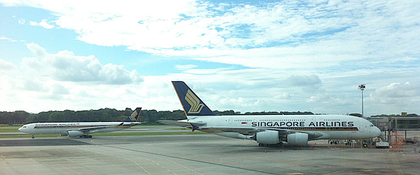 シンガポール航空（SQ）画像