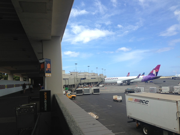 飛行機が見える通路画像