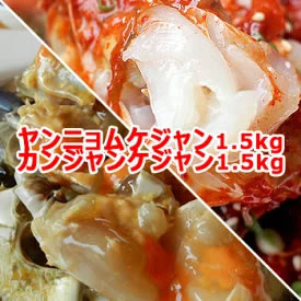 [送料無料] 業務用 ヤンニョムケジャン 500g 3個（1.5kg） カンジャンケジャン 500g 3個（1.5kg） 画像