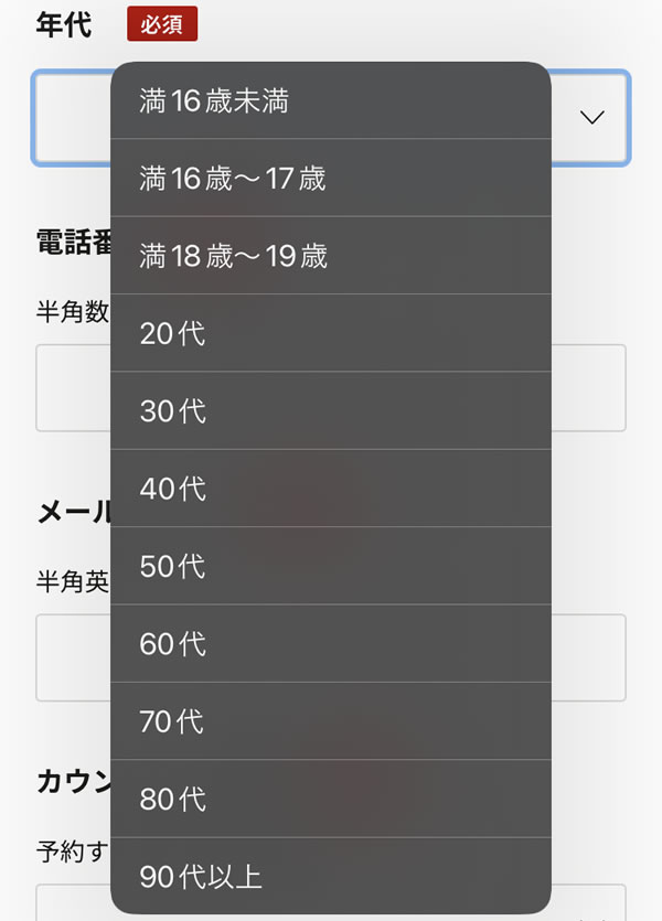 STEP11：年代を選択画像